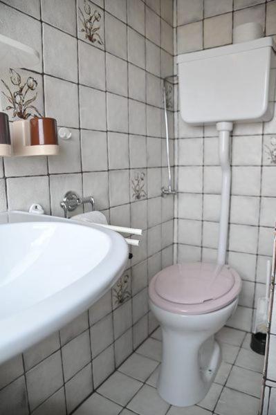 Ferienwohnungen Oedenburgerhof Mörbisch am See Buitenkant foto